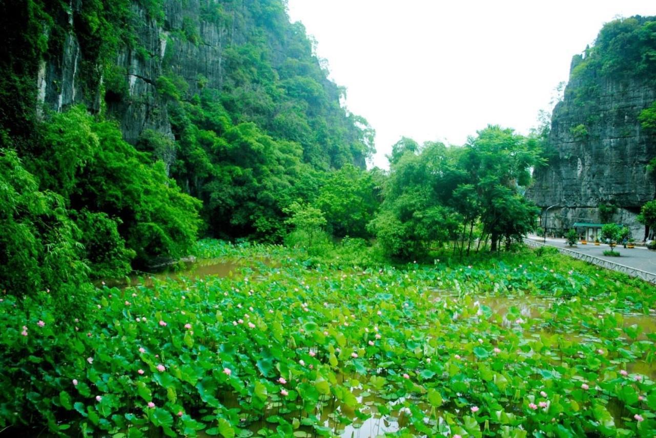 Tamcoc Viet Tan Homestay & Garden Ninh Binh Eksteriør bilde