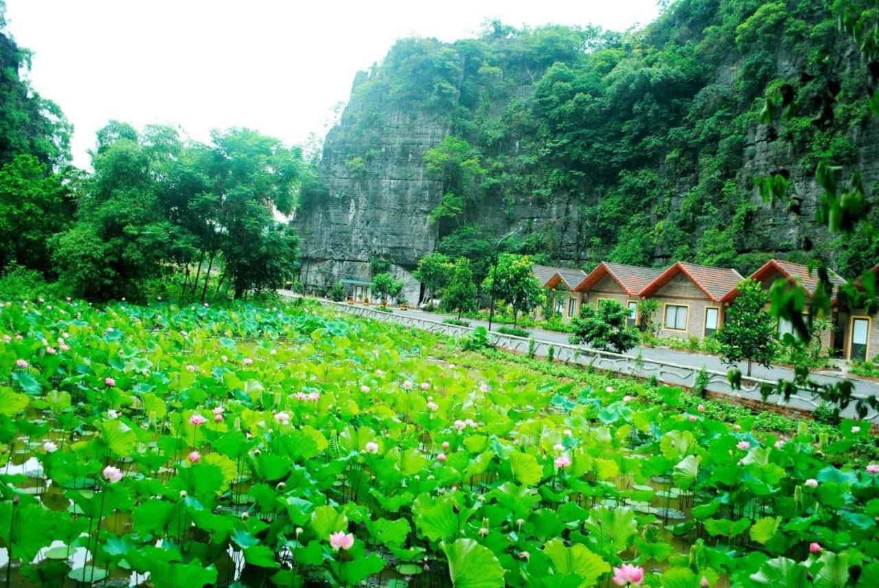 Tamcoc Viet Tan Homestay & Garden Ninh Binh Eksteriør bilde