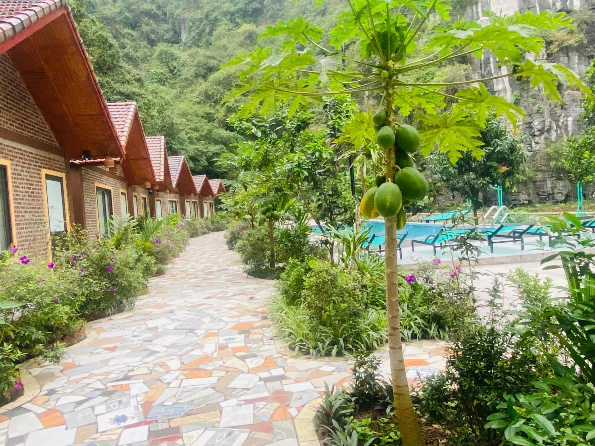 Tamcoc Viet Tan Homestay & Garden Ninh Binh Eksteriør bilde